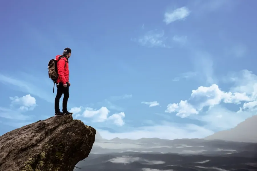 Financial Freedom Strategies with Guidance